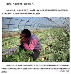 農產品滯銷,農業發展路在何方