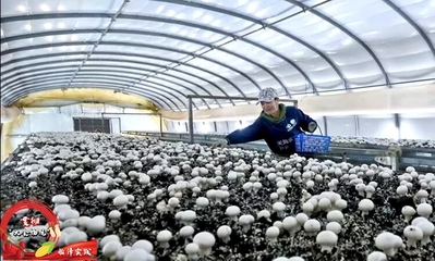 張掖市人民政府