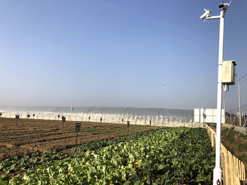 17幫農 2018年觀光農業新發展模式展望,共享是趨勢