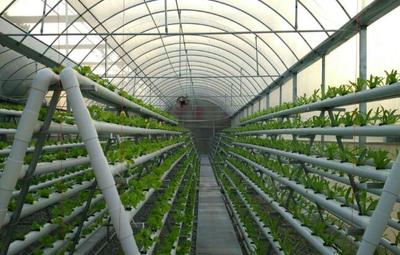 臺州市三門縣洋市涂6000畝現(xiàn)代農(nóng)業(yè)基地開發(fā)項目