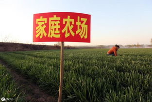 自治區(qū)農(nóng)業(yè)農(nóng)村廳關(guān)于印發(fā)2019年中央農(nóng)業(yè)生產(chǎn)發(fā)展資金 家庭農(nóng)場 項目實施方案的通知