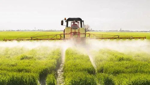 常州市生態(tài)循環(huán)農(nóng)業(yè)重點發(fā)展模式