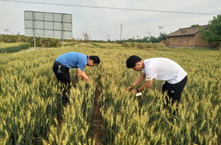 陜西省農(nóng)業(yè)機械化發(fā)展中心信息網(wǎng)