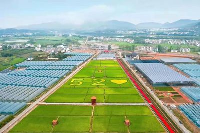 喜報!于都這項成績蟬聯(lián)第一!