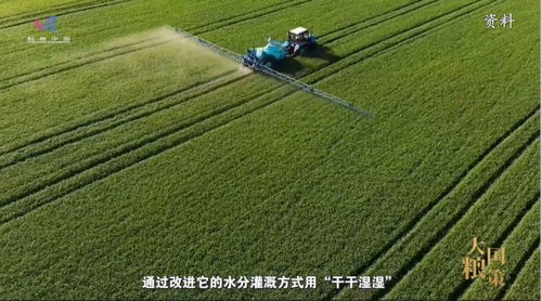 基因 再生 栽培 探秘農(nóng)業(yè)科技的 配合密碼