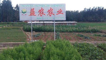 云南楚雄益農農業科技開發