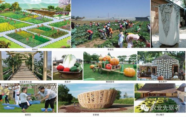 休閑農(nóng)業(yè)要發(fā)展,輕資產(chǎn)運(yùn)營(yíng)很重要_財(cái)經(jīng)_網(wǎng)