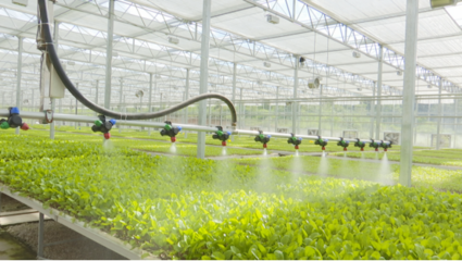 &ldquo;智慧農(nóng)業(yè)&rdquo;能致富?&ldquo;數(shù)字鄉(xiāng)村&rdquo;是啥樣?快來(lái)看貴陽(yáng)高新區(qū)企業(yè)如何用科技賦能農(nóng)業(yè)!