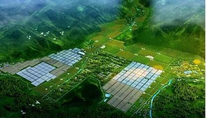 現(xiàn)代農(nóng)業(yè)產(chǎn)業(yè)園開(kāi)發(fā)模式及五大運(yùn)營(yíng)模式!