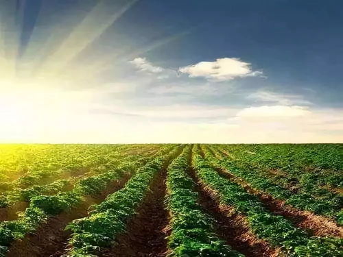 農業為國之根本 未來農業開發的小趨勢