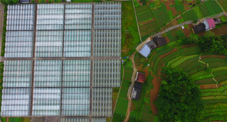重慶巫溪 技術(shù)提升助力馬鈴薯產(chǎn)業(yè)發(fā)展，推動(dòng)農(nóng)業(yè)創(chuàng)新開發(fā)