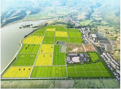 從“伏羲農(nóng)場(chǎng)”看通遼開發(fā)區(qū)未來農(nóng)業(yè)新圖景