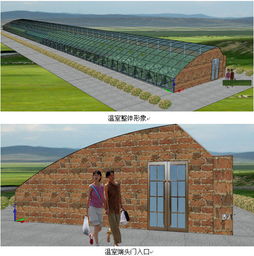 490平方米日光溫室型霧培蔬菜與芽苗菜工廠(chǎng)化生產(chǎn)設(shè)計(jì)方案