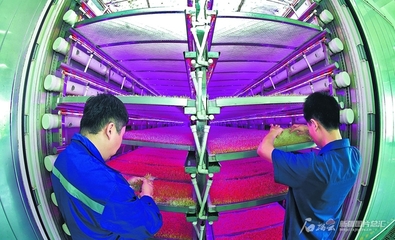 植物工廠(chǎng) 智慧農(nóng)業(yè)