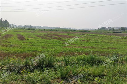 土流網(wǎng)賦能農(nóng)業(yè)綜合開發(fā) 構建現(xiàn)代高效農(nóng)業(yè)新格局